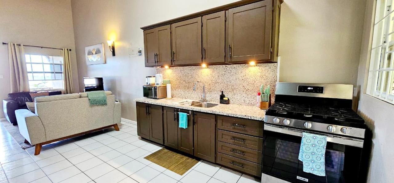 Silver View Apartments St. George's Ngoại thất bức ảnh